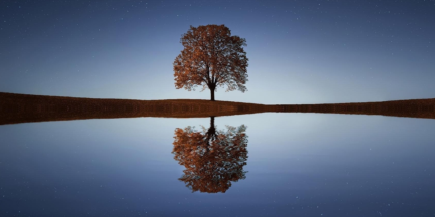 Kein Titel (600 x 300 px)